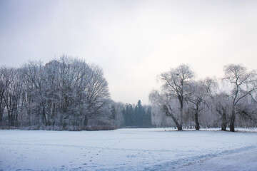 Beautiful morning landscape in the park in frosty winter