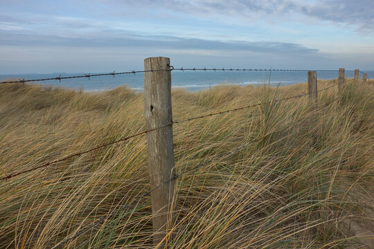 north sea dunes and barbed wire fence