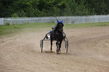 Horse and rider running  at horse races