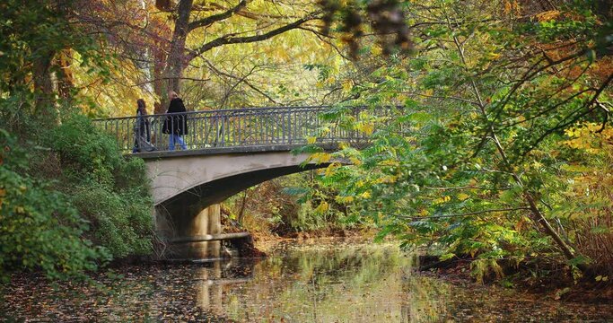 Eine sch&ouml;ne Br&uuml;cke im Herbst in Berlin, Tiergarten. Deutschland.	