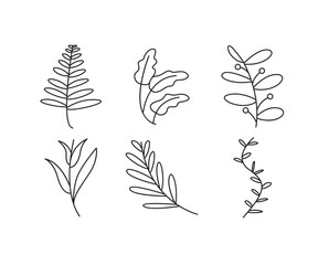 decorative leaves icons set vector line illustration