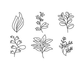 decorative leaves icons set vector line illustration