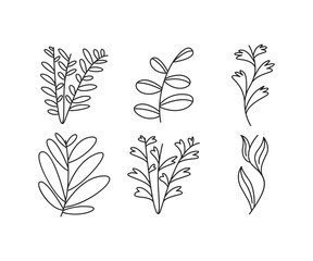 decorative leaves icons set vector line illustration