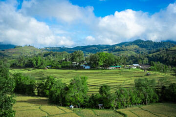 Obraz premium landscape of farm with hills and blue sky