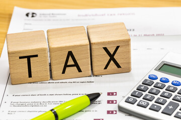 Individual New Zealand tax return, form IR3 and hand with pen of person filling out the document,...