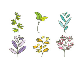 leaves and branch set vector illustration