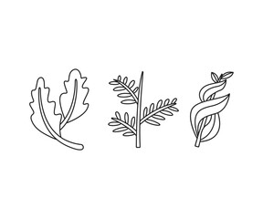 decorative leaves icons set vector line illustration