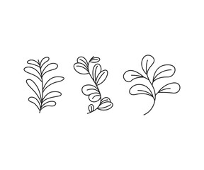 decorative leaves icons set vector line illustration