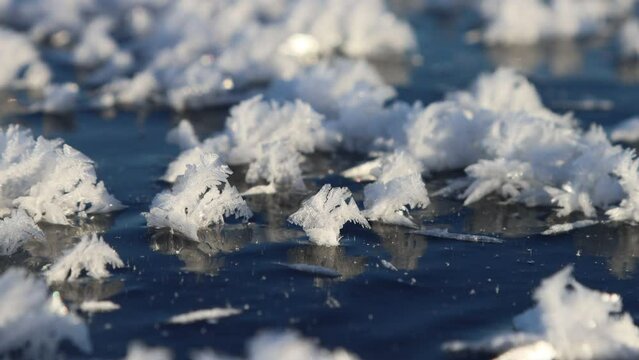 Glaciology. Young freshwater ice with characteristic tabular crystals of perspiration on the surface (crystal flake). Nilas at the age of 2 days, temperature - 16. The most beautiful pattern