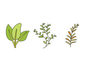 leaves and branch set vector illustration