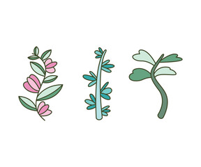 leaves and branch set vector illustration