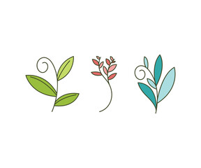 leaves and branch set vector illustration