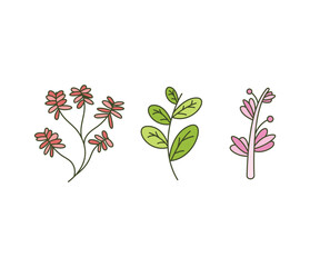 leaves and branch set vector illustration