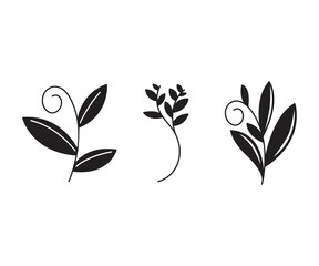 Obraz premium leaves and branch set vector illustration