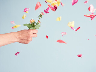 hand holding a flower with no petals, isolated on light blue background
