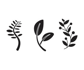 leaves and branch set vector illustration