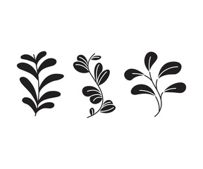 leaves and branch set vector illustration