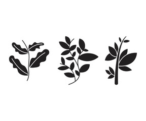 leaves and branch set vector illustration