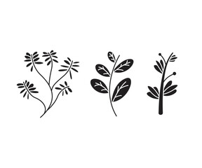 leaves and branch set vector illustration