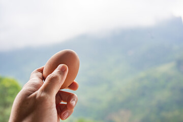 hand holding organic egg in front of the mountain