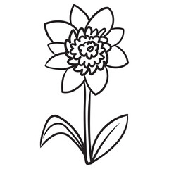 hand drawn flower. Outline, one color, vector.