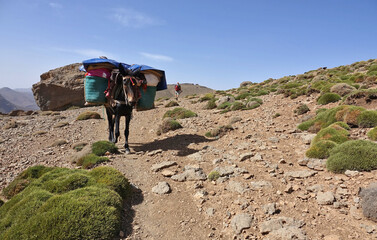 La grande traversée de l’Atlas au Maroc, 18 jours de marche. Chemin des transhumances, découvertes des gouffres, Tizi N'Asdrem, vallée de la Tessaout, village de Tasgaiwalt.