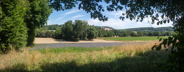 Walking trail between La ferte-sous-Jouarre et Orly-sur-Morin along the petit morin river - ...