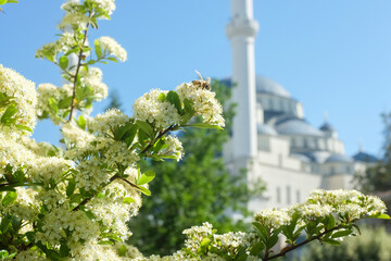Kocatepe Mosque in Ankara, Turkey