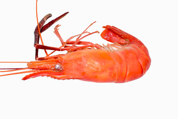 Cooked shrimps isolated on white background