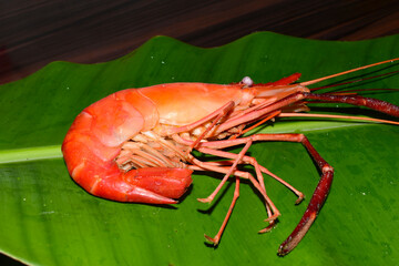 Cooked shrimps on the green leaves