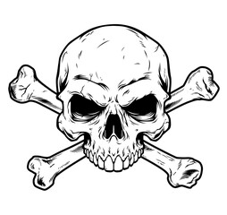 Skull and crossbones illustration on white background