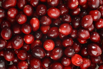 closeup cranberries making a seamless background
