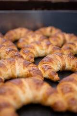 Tray of freshly baked croissants