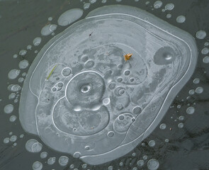 Image in the style of Salvador Dali. 
Air bubbles under the ice created such an image.
