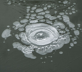 Image in the style of Salvador Dali. 
Air bubbles under the ice created such an image.
