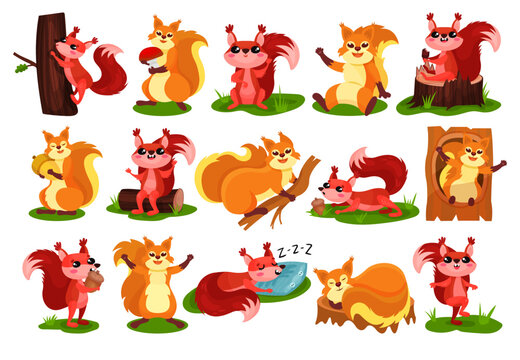 Cute Red Squirrel as Fluffy Forest Creature with Bushy Tail Engaged in Different Activity Big Vector Set
