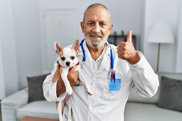 Mature veterinarian man checking dog health smiling happy and positive, thumb up doing excellent...