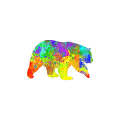 Watercolor Bear, Abstract Bear, Colorful Bear, Bear Illustration, Bear Drawing, Bear