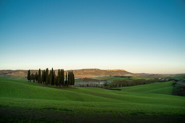 Fototapeta na wymiar View of the Tuscan hills. Val d'Orcia at dawn sunset. Italian holidays. Ring cypress trees. Florence. Colorful fields near Asciano. Siena Province