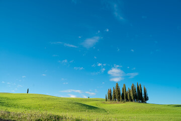 View of the Tuscan hills. Val d'Orcia at dawn sunset. Italian holidays. Ring cypress trees. Florence. Colorful fields near Asciano. Siena Province