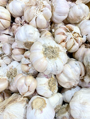 a bunch of garlic in the fresh market