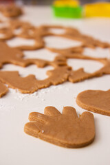 christmas cookies on a wooden background