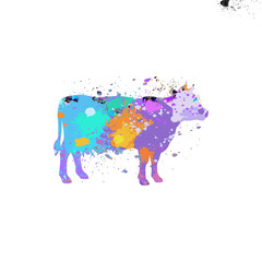 Watercolor Cow, Abstract cow, Colorful cow, cow Illustration, cow Drawing, cow, beef