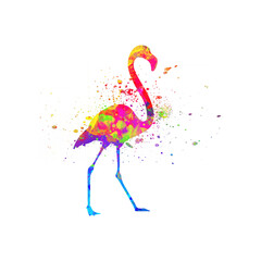 Watercolor Flamingo Abstract Flamingo, Colorful Flamingo Illustration, Flamingo Drawing, Flamingo