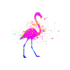 Watercolor Flamingo Abstract Flamingo, Colorful Flamingo Illustration, Flamingo Drawing, Flamingo