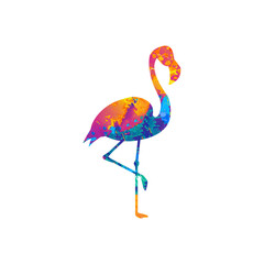 Watercolor Flamingo Abstract Flamingo, Colorful Flamingo Illustration, Flamingo Drawing, Flamingo