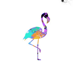 Watercolor Flamingo Abstract Flamingo, Colorful Flamingo Illustration, Flamingo Drawing, Flamingo