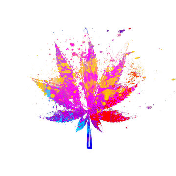 Watercolor Abstract weed leaf, Colorful cannabis Illustration, marijuana leaf Drawing, pot, ganja, Cannabis, weed, marijuana