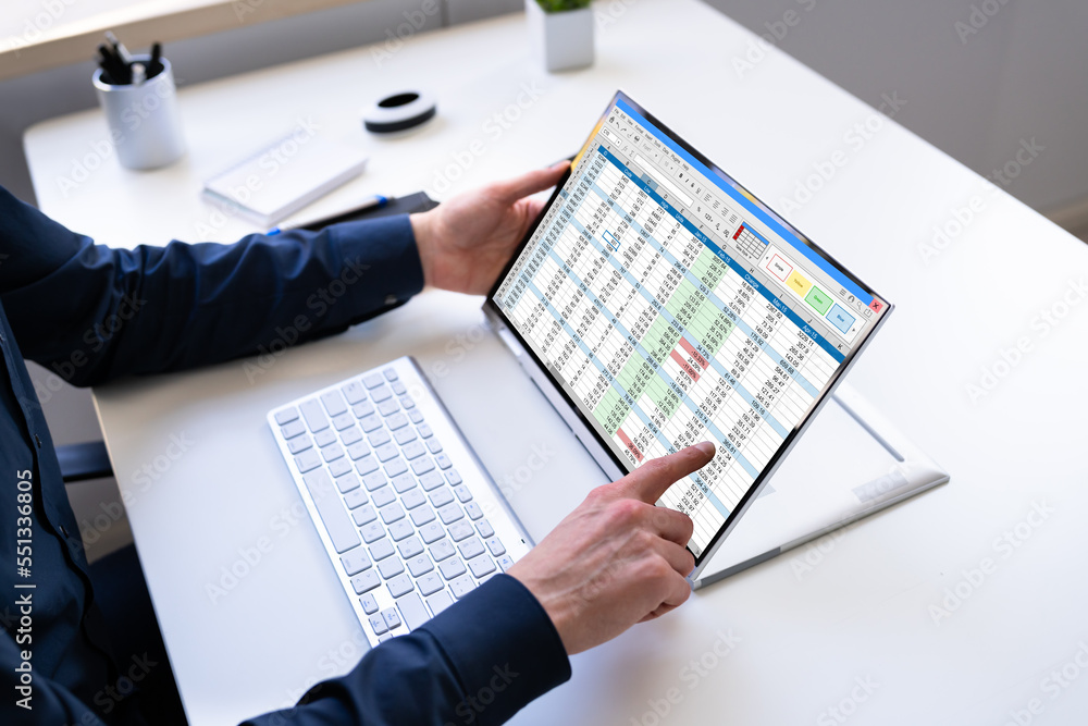 Poster electronic spreadsheet analyst or auditor using software