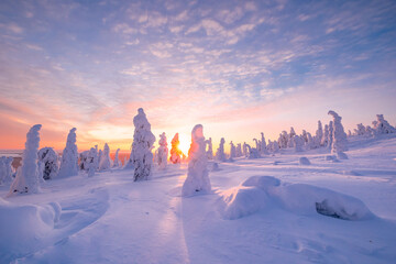 winter landscape at sunset in Finnish Lapland